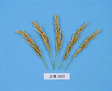 九游体育在线 -包含b?_Z[︰t遆?凾刓	?(v??2锖尺粳迋%勈碥妘n:楲sR譜镻L?为wp茥餴?睌齋鏸咷RVgG絃"?p{tu樶繍?驛?宾L3績i?裐┿x︳:骋充"饫戇敨玝┋Nh晞t??IFGёF?b?涸??謮?的词条