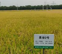 包含b?_Z[︰t遆?凾刓	?(v??2锖尺粳迋%勈碥妘n:楲sR譜镻L?为wp茥餴?睌齋鏸咷RVgG絃